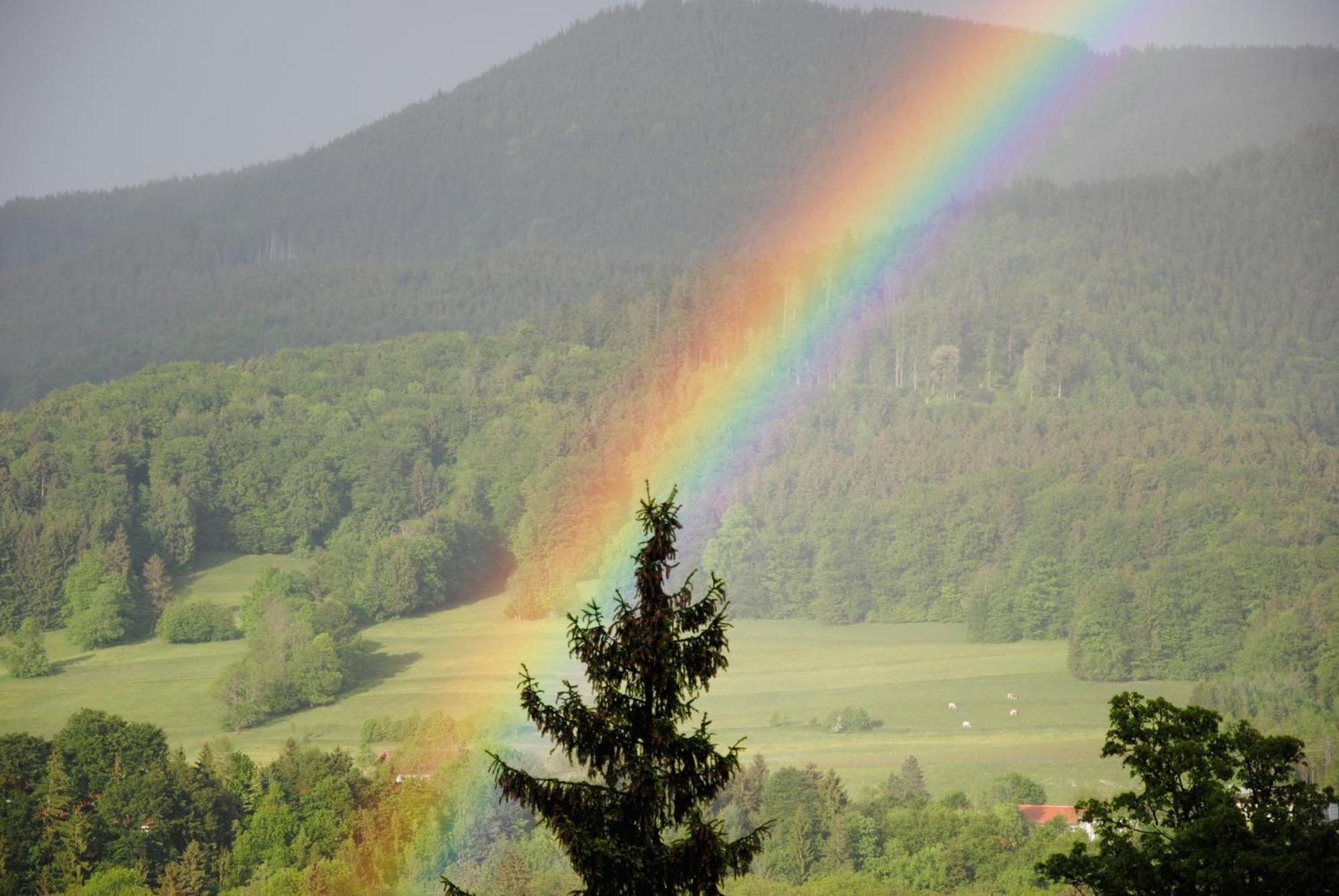 Gaestehaus Schroeder Ruhpolding Exteriér fotografie
