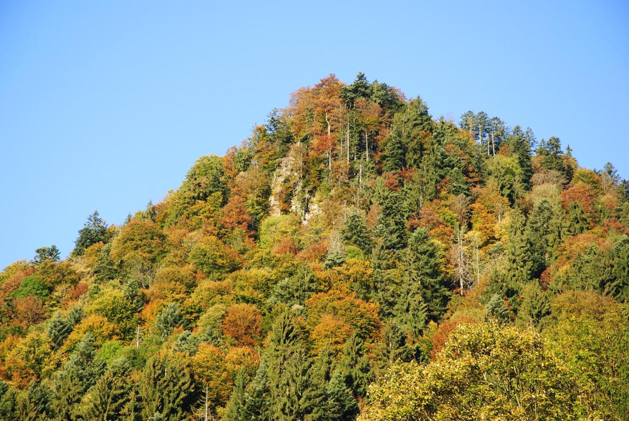Gaestehaus Schroeder Ruhpolding Exteriér fotografie